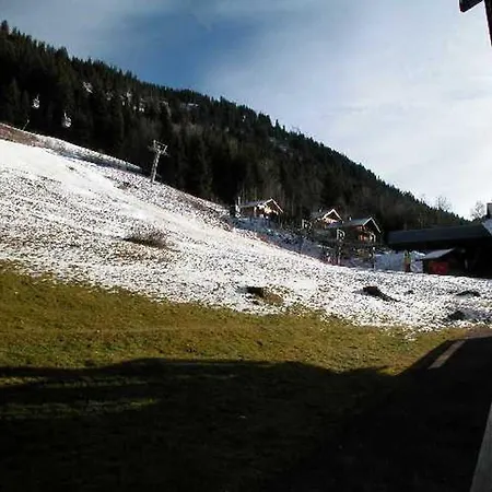 Ideal 2/3 Personnes A Chatel, Proche Centre Et Telecabine - Fr-1-676-204 Apartment *